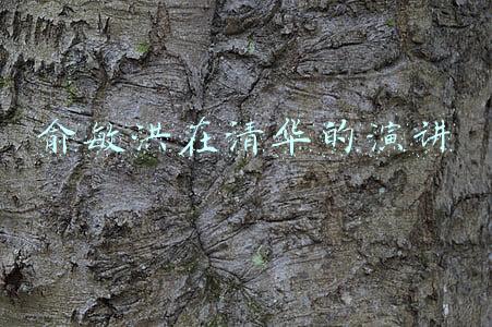 俞敏洪在清华的演讲