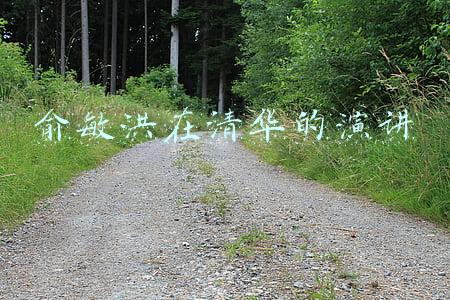 俞敏洪在青岛开办学校(探校｜全英文课堂+中外教天团，这所双语学校的“中西融合”史无前例)