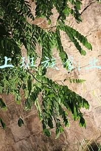 上班族创业好项目(适合上班族的5个副业)