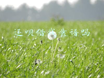 还呗借钱靠谱吗百度知道(一定要捂紧“皮夹子”！一男子下载“还呗”贷款APP险被骗)