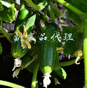 副食品代理商赚钱吗(配送慢客户少，东西总卖不出去！传统食品批发商还能做好生意吗？)