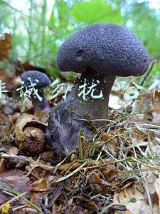 非诚勿扰哈佛博士(非诚勿扰十周年黄菡老师感动返场，孟非致谢词里唯独没有提起乐嘉)