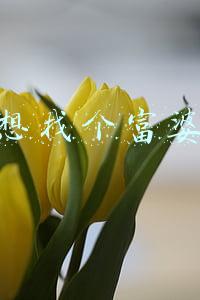 想找个富婆不想再奋斗了歌曲(电影《我要我们在一起》，描绘现实的电影，往往是观影者想要的)