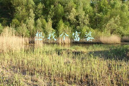 不想奋斗了想找个富婆(“不想奋斗了，只想找个富婆包养我”。这样真的能解脱吗？)