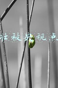 大壮被央视点名