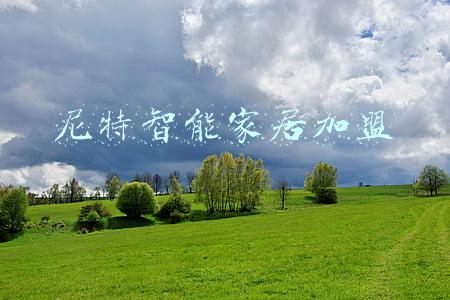 尼特智能家居加盟