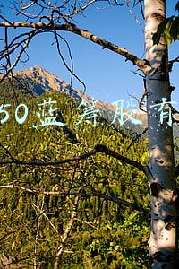 最新上证50股名单(午评：A股三大指数震荡上证50指数涨1.67%，金融股强势崛起，北向资金净流入超80亿元)