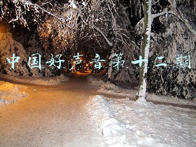 中国好声音第十二期