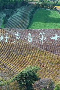 中国好声音第十二期