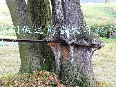 女人最美的年纪(2021日本女网友评选十大最美女星，最小21岁，最大已52岁)
