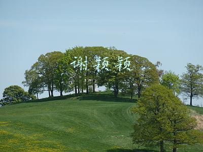 谢颖颖的微博(央视最美女主持谢颖颖 其“神秘老公”究竟是谁？)