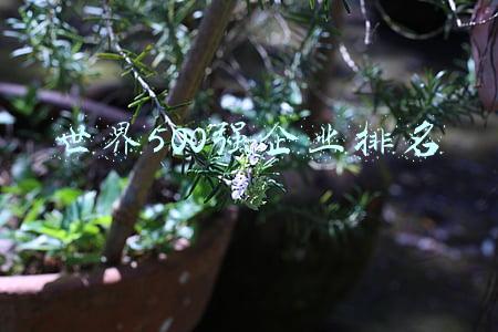 世界500强企业排名