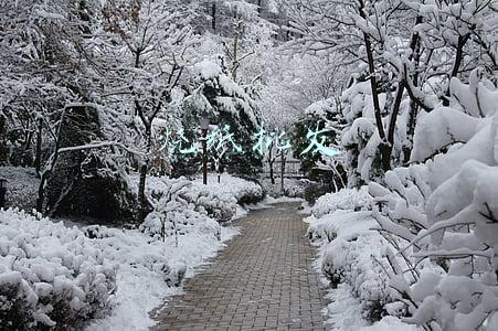 烧纸批发市场在哪里(哈尔滨复旦街保健路个别小店 冥纸元宝摆在门里卖)