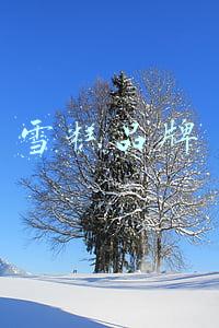 雪糕品牌