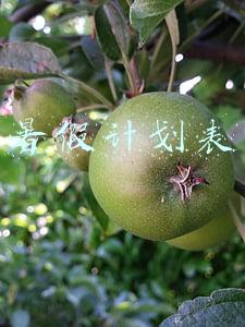 暑假计划表