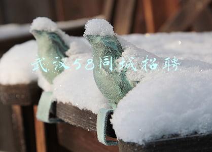 武汉58同城招聘