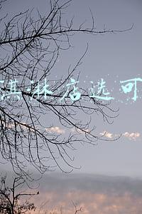 开冰淇淋店怎么样(在城里开一个雪糕批发店赚钱吗？今天带你来了解一下)