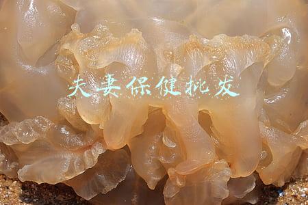 夫妻保健批发