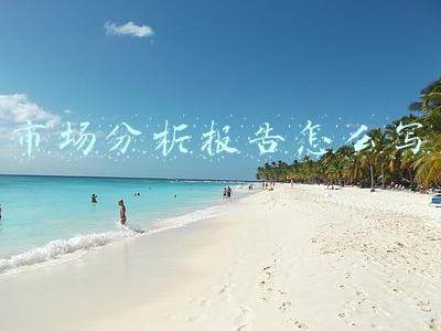 市场分析报告怎么写