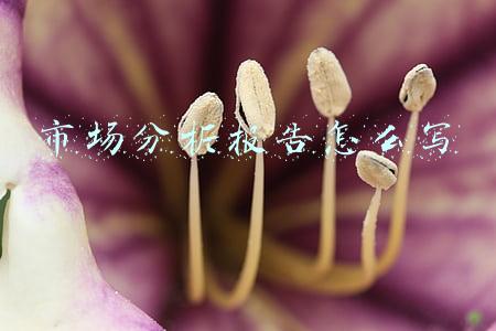 市场行情分析报告怎么写(近期小麦市场行情分析报告)