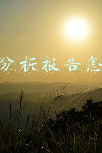 市场分析报告怎么写