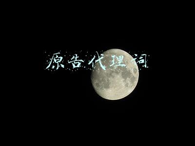 原告代理词