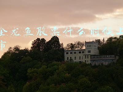 金龙鱼股票什么时候上市