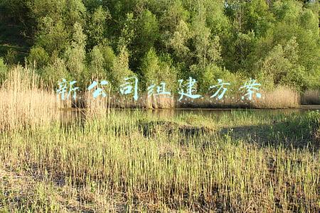 新公司组建方案