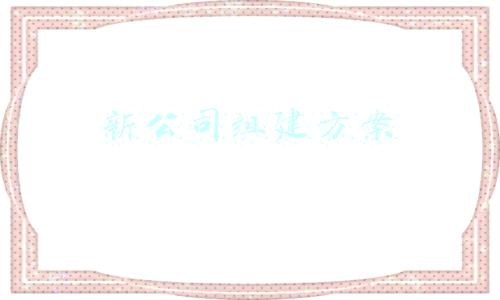 新公司组建方案