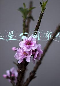 三星公司市值排名(全球芯片制造商市值排名 台积电三星英伟达稳居前三)