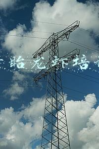 盱眙龙虾培训