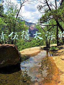 被感情伤得太深的网名