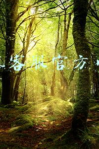 腾讯客服官方网站