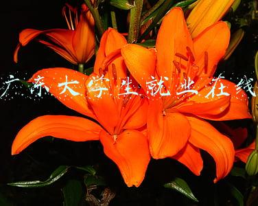 广东大学生就业在线