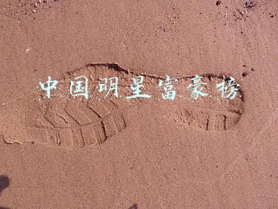 中国明星富豪榜
