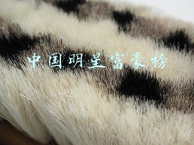 中国明星富豪榜2021(2021年中国电影男演员排名，王宝强上榜，谁的含金量最高？)