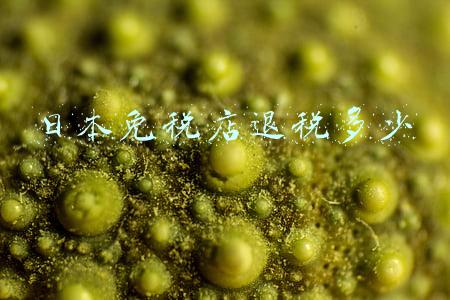 日本买东西怎么退税：在日本买东西可以退税多少