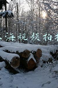 上海视频拍摄