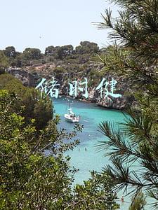 储时健