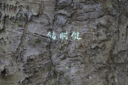 褚时健做酒(少年褚时健用“天行健”取名：开荒种地，独自运作祖父留下的酒坊)