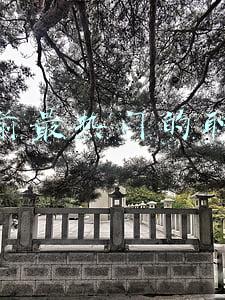 剑灵当前版本最强职业(剑灵各版本神职业盘点 拳师也曾有春天)