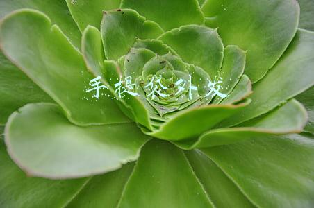 手提袋外发