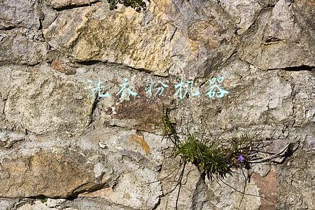 洗衣粉机器设备(织物洗涤篇--洗衣粉)