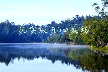现实版开心农场方案(现实版的“开心农场”！这群龙华人为啥心甘情愿当“农夫”？)