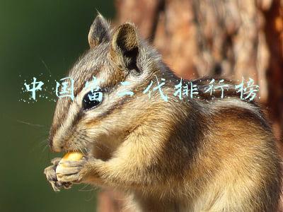 中国富二代排行榜