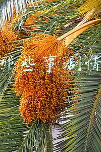 咱家那些事剧情介绍