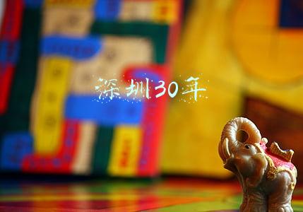 深圳30年