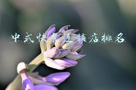 中式快餐连锁加盟排行(中式快餐加盟连锁十大品牌)