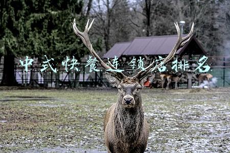 武汉中式快餐连锁店排名(民以食为天！武汉餐饮连锁十强名单，小伙伴们吃起来…)