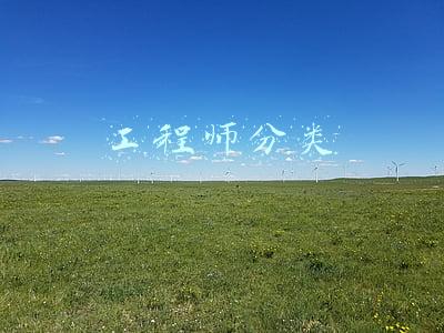 工程师分类